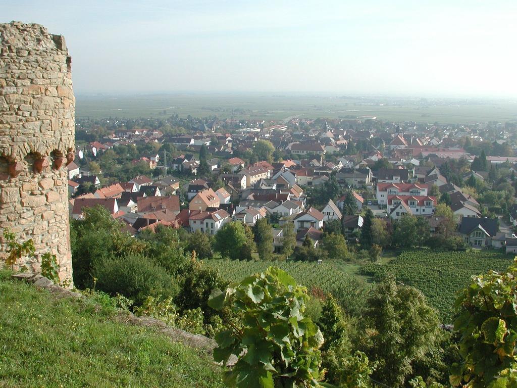 Altstadt-Residenz Manz Wachenheim an der Weinstraße エクステリア 写真